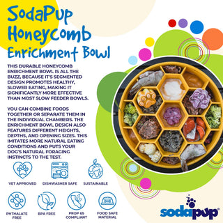 Honeycomb Design eBowl Enrichment Slow Feeder Bowl for Dogs: