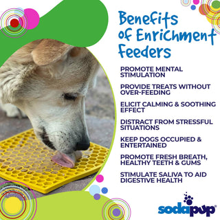 Honeycomb Design Emat Enrichment Licking Mat - Small