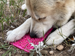 Flower Power Design eMat Enrichment Lick Mat - Pink: Flower Power E-Mat - Small
