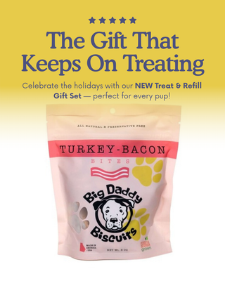 Big Daddy Biscuits Treat & Refill Gift Set: Travel Pack and 8 oz bag