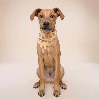Candy Corn Dog Bandana : S