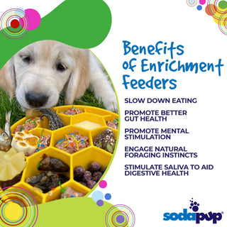 Honeycomb Design eBowl Enrichment Slow Feeder Bowl for Dogs: