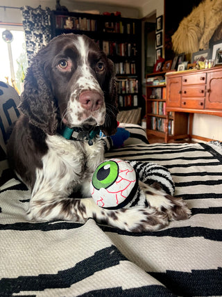 Eyesaur