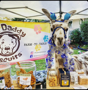  Llama at the Big Daddy Biscuits Booth 