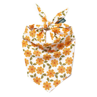 Marigold Dog Bandana: L