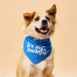 Barkday Blue Birthday Dog Bandana: L