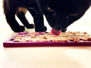 Fishy Design eMat Enrichment Lick Mat - small: Fishy emat - plum