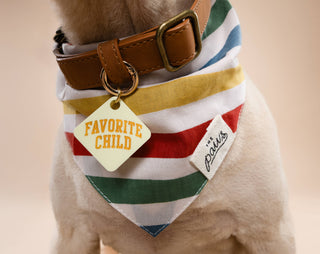 Frontier Dog Bandana: L