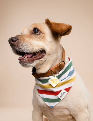 Frontier Dog Bandana: L