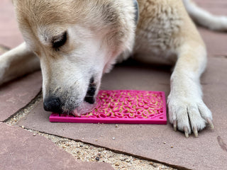 Flower Power Design eMat Enrichment Lick Mat - Pink: Flower Power E-Mat - Small