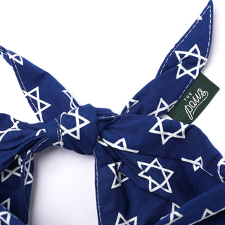 Lights Dog Bandana : L