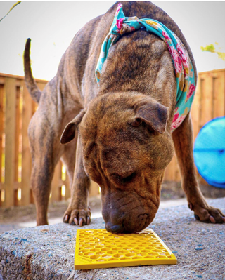 Honeycomb Design Emat Enrichment Licking Mat - Small