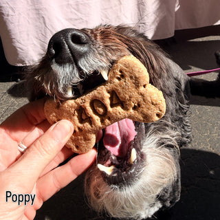 Custom Branded Dog Bones - Setup Fee