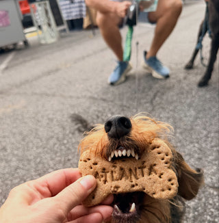 Custom Branded Dog Bones - Setup Fee