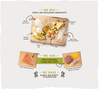 No Hide Hide - Earth Animal - Chicken Flavor