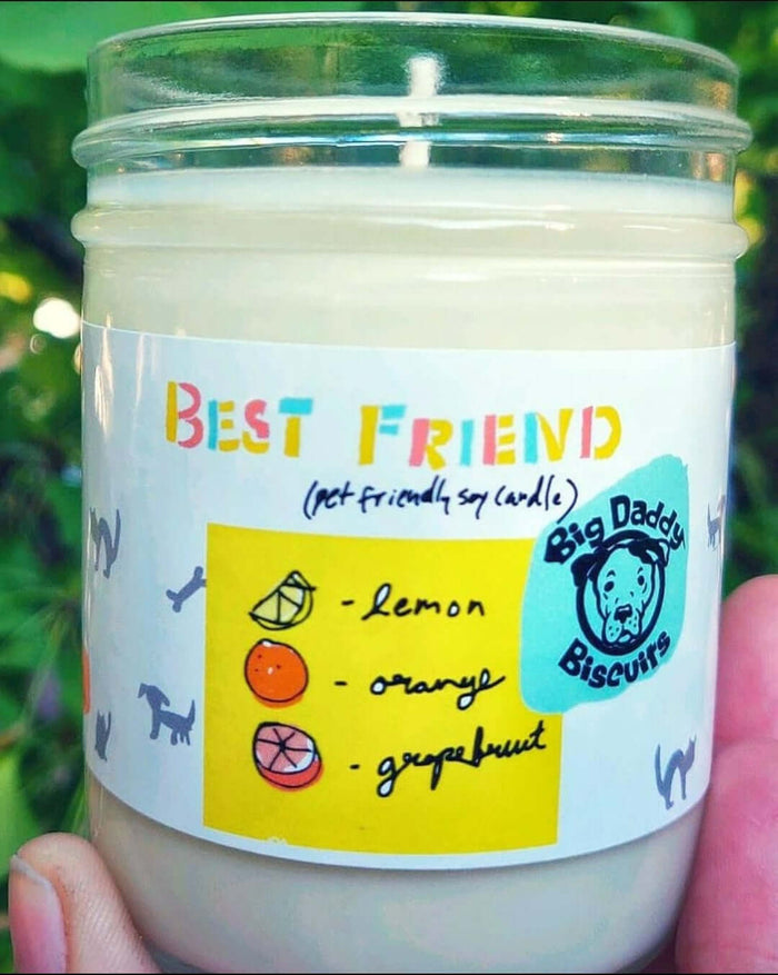 Best Friend - Odor Eliminator Candle